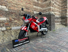 Gilera DNA